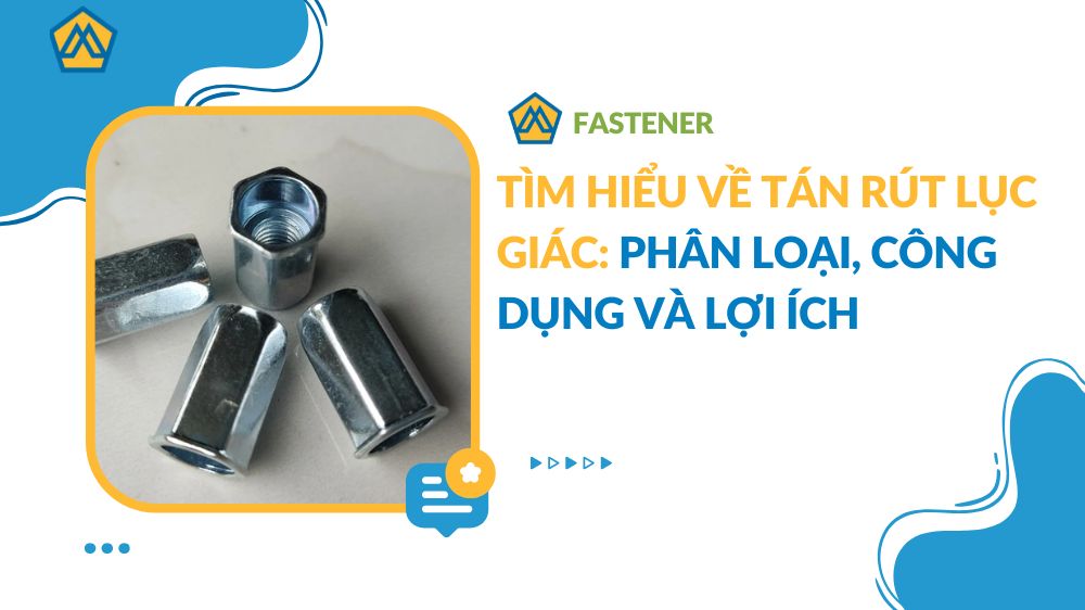 Tìm hiểu về tán rút lục giác: phân loại, công dụng và lợi ích | Mecsu.vn