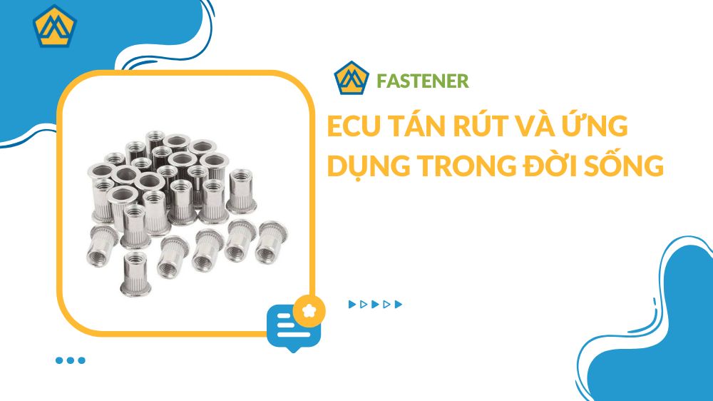 Ecu tán rút và ứng dụng trong đời sống | Mecsu.vn