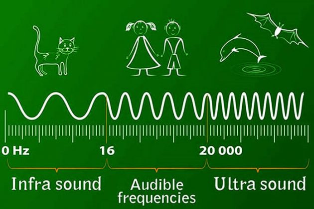 Sóng siêu âm là gì? Nguyên lý & ứng dụng sóng (2023)