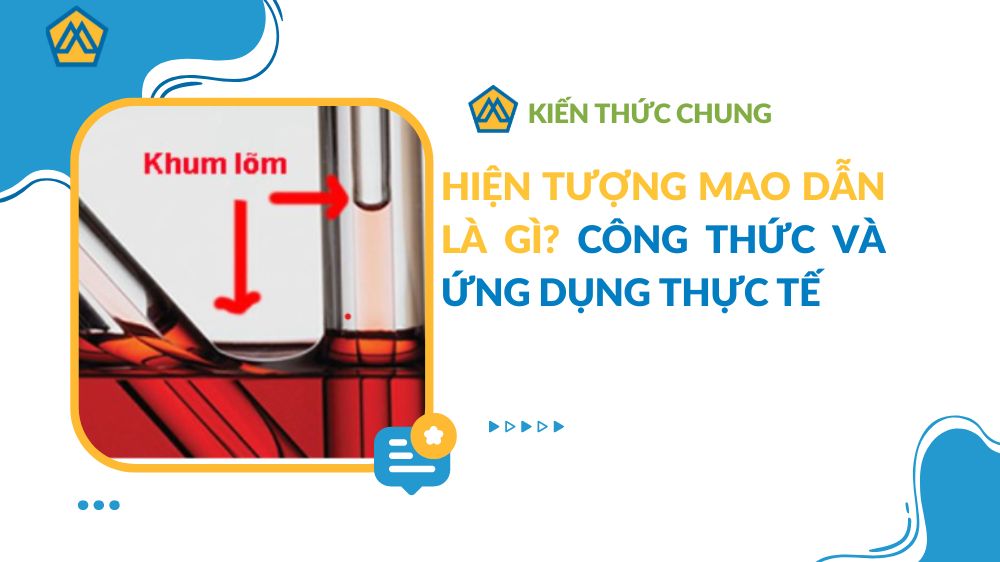 Hiện tượng mao dẫn là gì? Công thức và ứng dụng thực tế